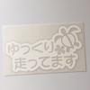 nc-smile Hawaiian Sticker Honu Running Slow Plumeria Safe Driving Slow (S, White)