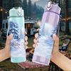 1PC Snow Mountain Waterfall Landscape Print 750ml Color Plastic Sports Water Bottle Leakproof Flip Straw Lid Suitable for Sports Office Home Use