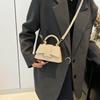 Pu Small Square Bag For Women With Single Shoulder Strap For Daily Wear
