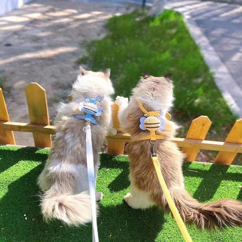 Cat Harness Leash Collar Set Adjustable Cartoon Bee Double Layer Dog Harness For Small Medium Pet Collar Leash Outdoor Walking