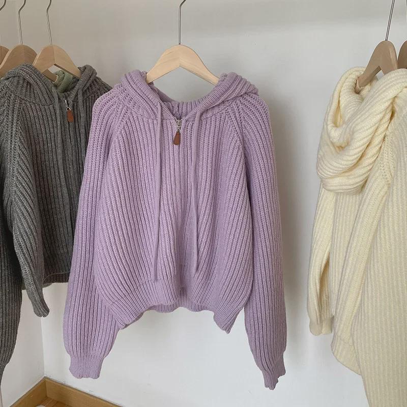 Korean College-Style Hooded Knitted Cardigan: Women's Loose Fit, Lazy Spring & Autumn Sweater Jacket