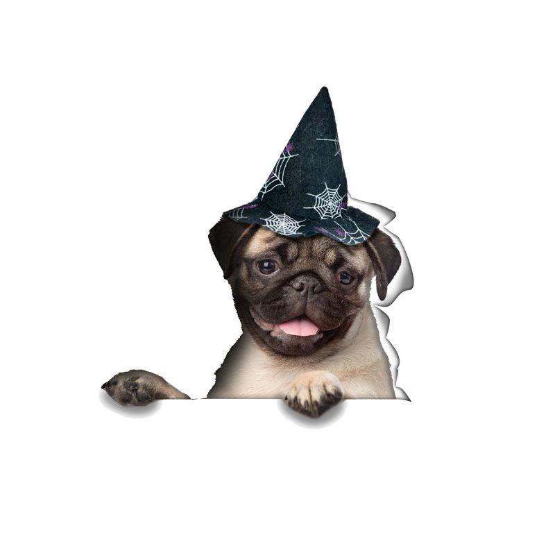 

Kitten Puppy Pumpkin Halloween Sticker For Festive Home Decoration** Dog