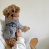 Autumn and Winter Pet Sweatshirts Warm Clothes for Dogs Teddy Letter Print Hoodies Bichon Frise Fleece Two-Legged Clothes