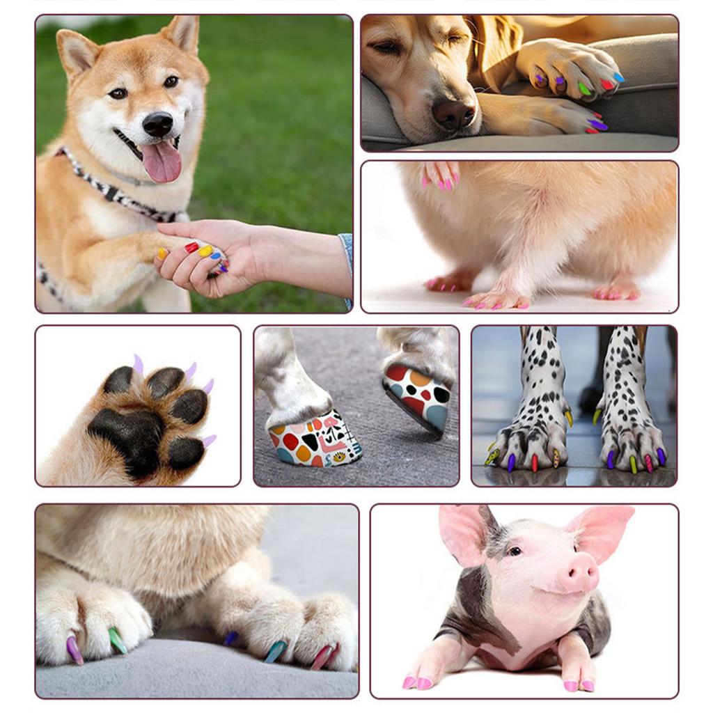 12 Colors Pet Nail Polish Pen Set Water-Based Dog Nail Polish Quick Drying Pet Nail Polish for Dogs Cats Easy To Remove