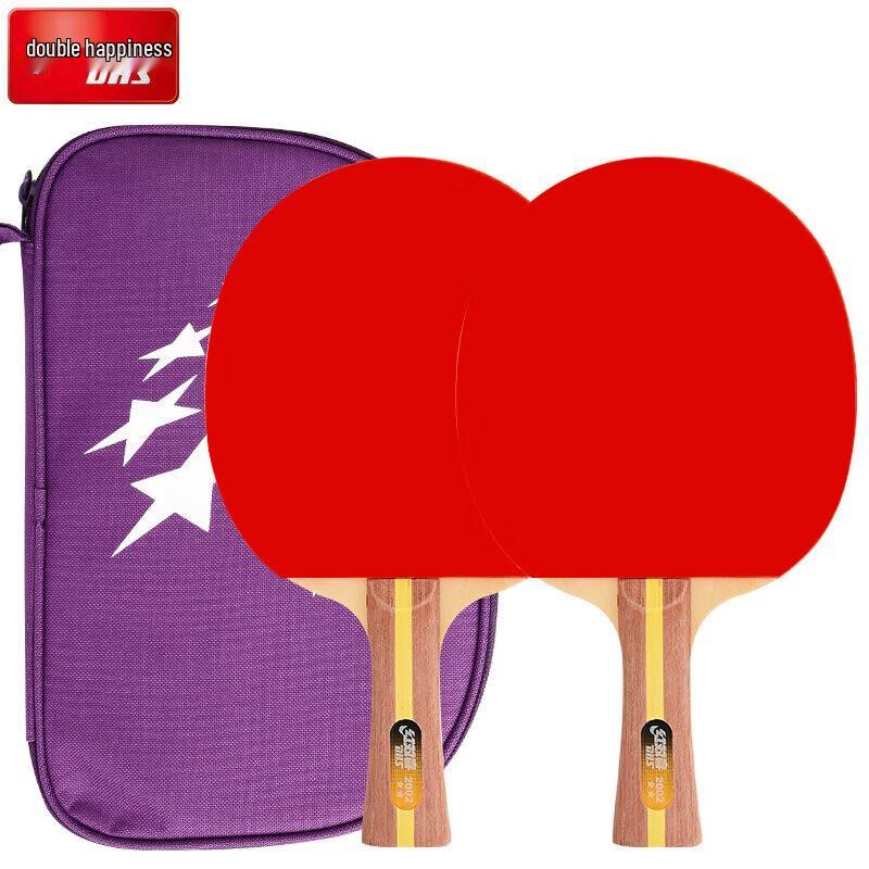 DHS H2002 2-Star Shakehand Table Tennis Racket Set