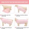 Cats Surgeries Recovery Suit Cats Vests Pet Shirt Protective Wear Recovery Clothes for Small Media Pet