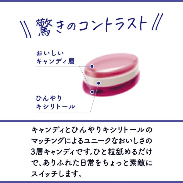 Kasugai Seika Xyli Crystal Fruit Assorted Throat 67g X 6 Bags Lozenges,