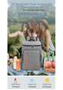 Cross-border Large Capacity Insulated Backpack with Portable Ice Packs for Camping