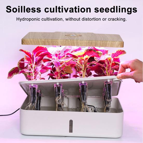 Planting Basket Hydroponic Seeds Kit with 350+ Seeds Including Basil Parsley Cilantro Reusable Plastic Baskets Hydroponic Garden Planting Supplies