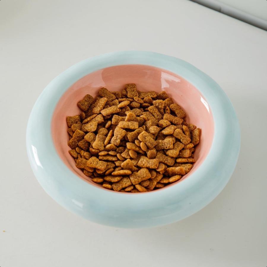 6Inch Ceramic Cat Food Bowl6 Oz Wide Shallow Cat Bowls Whisker Fatigue Relief AntiVomiting Design Spine Protection for Cats Dis