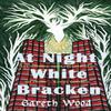 At Night White Bracken Paperback Book 9781913432980