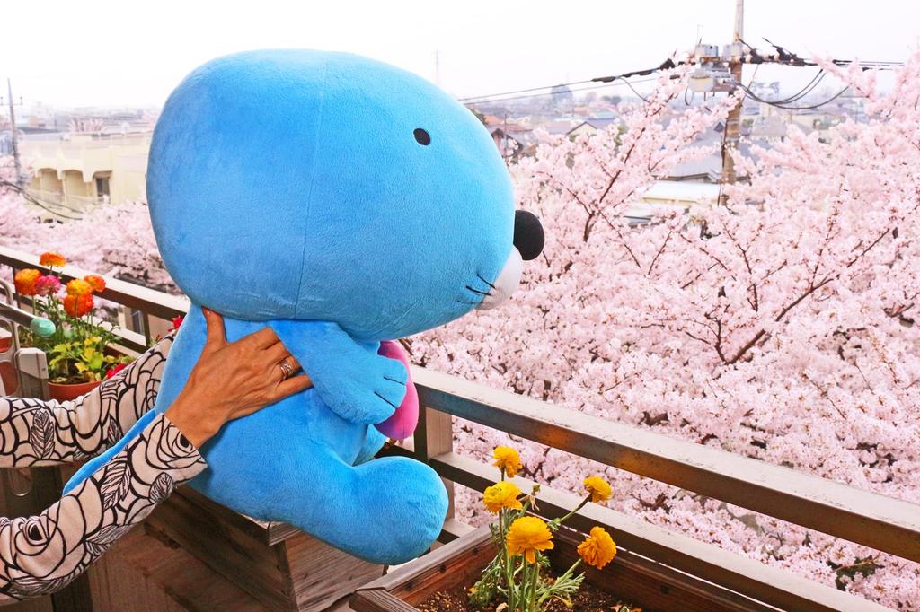 Shinada Global Bonobono (XL) 30 X 45 X 50cm Plush Toy, Bonobono Merchandise, BOB-1000