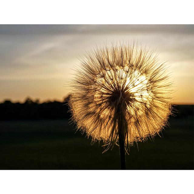 5D Diamond Painting Flower Rhinestone Picture Full Round Diamond Embroidery DIY Mosaic Art Decoration Rhinestone Gift