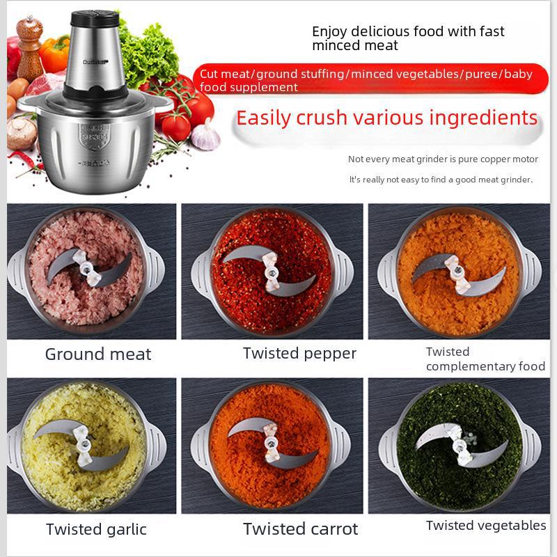 2L/3L Meat & Vegetable Grinder, 110V/220V - European/American Standards, Kitchen Food Processor & Mincer