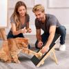 Cães – Cuidados de cães
