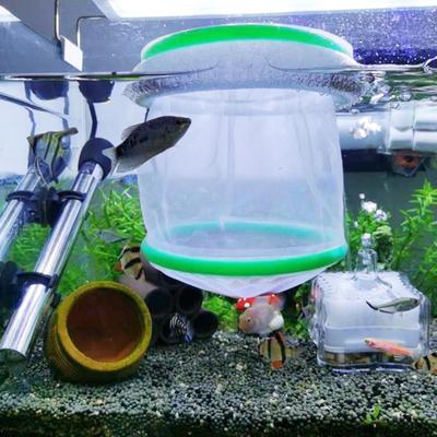 Aquarium Breeder Net Feeding Incubator Double Layer Isolation Hatching for Shrimp Clown