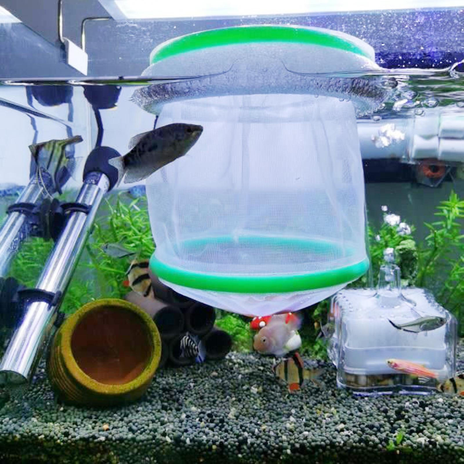 

Аквариумный инкубатор для разведения, двухслойный, для изоляции и выведения креветок и рыб-клоунов