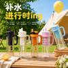 Water Bottle New Plastic Straw Cup Large Capacity High Temperature Resistance High Value Tea Separation Double Drinking Cup Outdoor Portable Water Cup