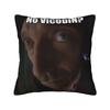 House MD Dr Gregory House Pillow Covers Product Soft Cushion Cover Decorations  Throw Pillow Case Cover Home Multiple Sizes
