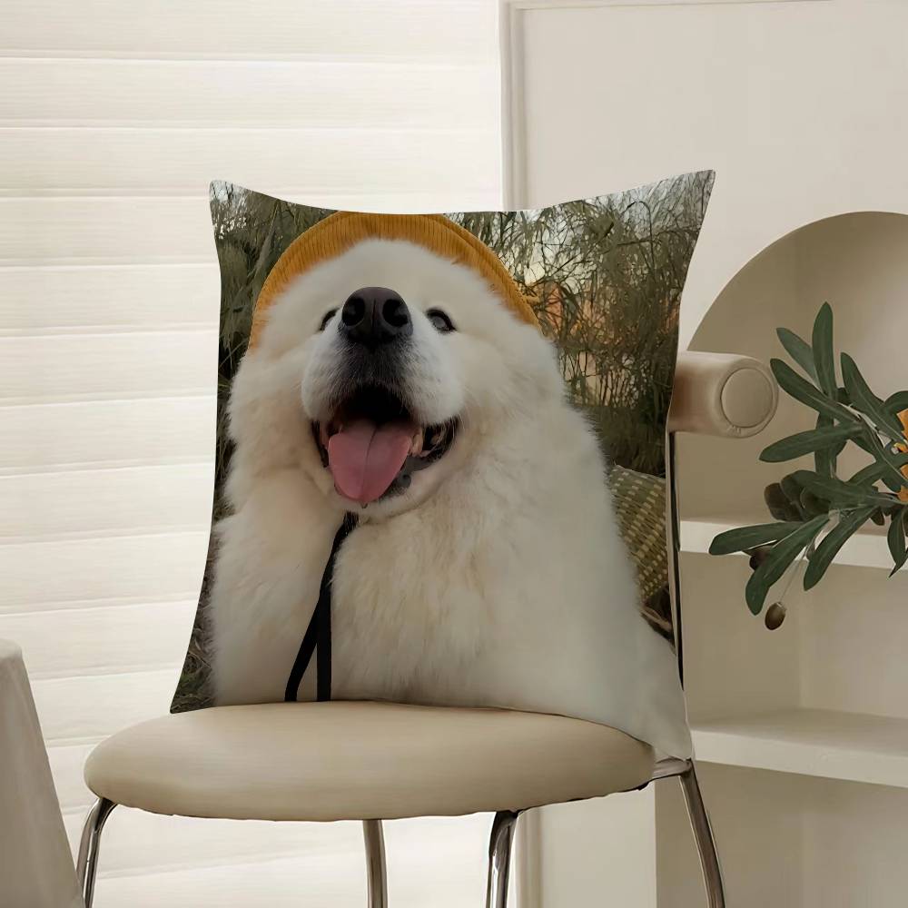 Happy Cute Puppy Smiling Sunshine Pillow Case Comfort Sofa Bed Silky Elegant Invisible Zipper Decorative Cushion Cover