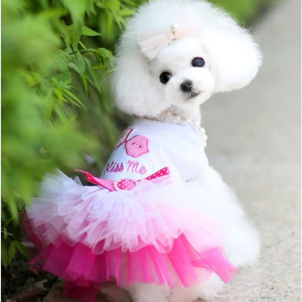 Pet Dog Clothes Spring Summer Cat Clothes Pet Dog Skirt Pet Supplies Cat Gauze Skirt Love Teddy Than Bear