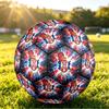 Serbia Printed Size 5 Soccer Ball Wear Resistant Standard Adult Training Football Fan Gift for Indoor Outdoor Match Sports
