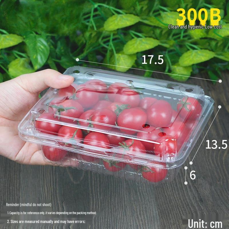 

Shixun Disposable Fruit Packaging Boxes