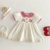 Baby Girls Summer Dress Plaid Bunny Embroidery Doll Collar Cute Toddler Dress