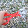 Clean Reptile Insects Scissors Capture Picker Clip Insects Capture Clean Tool Picker Insect Picker