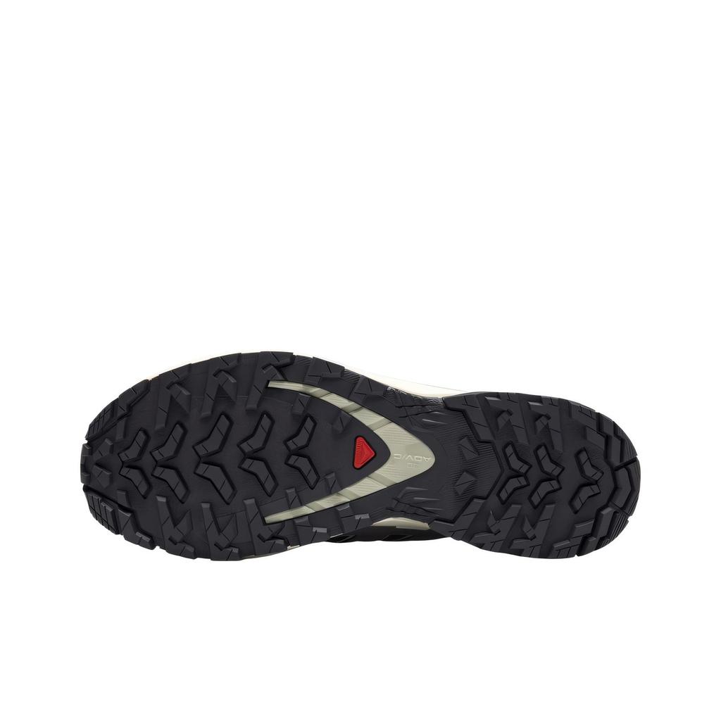 Salomon  XA Pro 3D V9 GORE-TEX Nine Iron Alfalfa Women Sneakers Grey Oxford-Tan L47744700