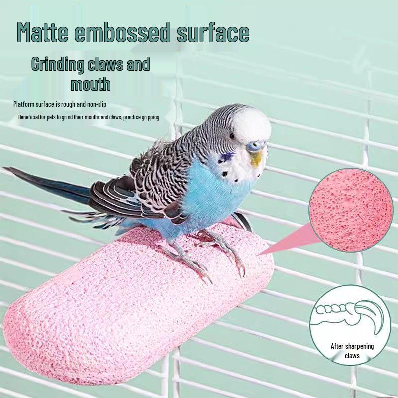 Parrot Perch: Small Bird Claw and Beak Grinder with Resting Platform and Chew Toy