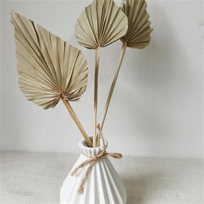 1/2PCS Pampas Grasses Branches DIY Wedding Decorations Home Decora Palm Fan Leaf Dried Flower Palm Leaves In Different Shapes