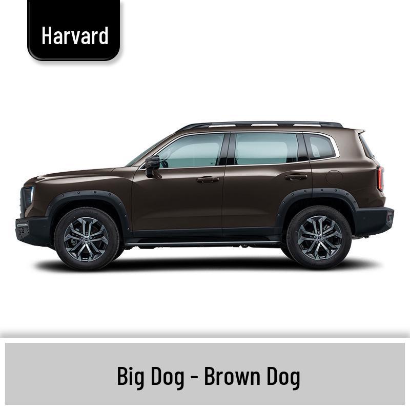 Haval Big Dog Car Scratch Repair Paint Pen - White, Black, Gray, Orange