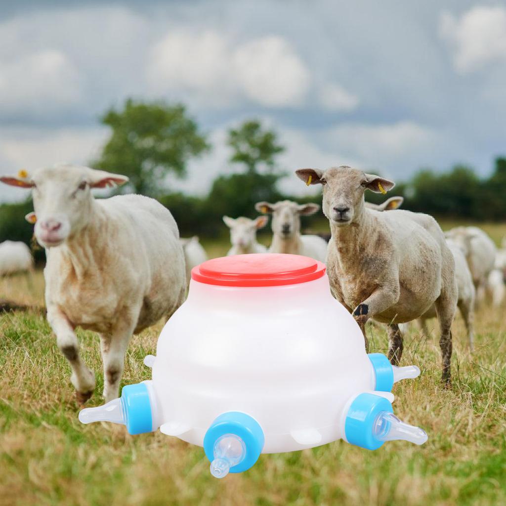6 bradavek Závěsná láhev krmítko pro jehňata telata selata Odolný Nástroj pro kojení více zvířat Zemědělské napájecí zařízení