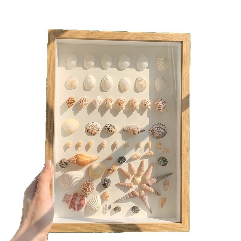 Handmade Seaside Shell Conch Photo Frame - Minimalist Square Design
