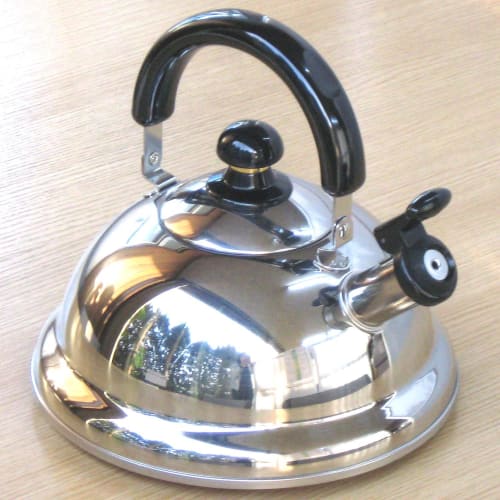 Takei Kibutsu Seisakusho Quick One Energy-Saving Whistling Kettle, 2.5L, TK-250