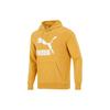 Sweatshirts Men's Gold Hooded Moderate Regular 531370-37