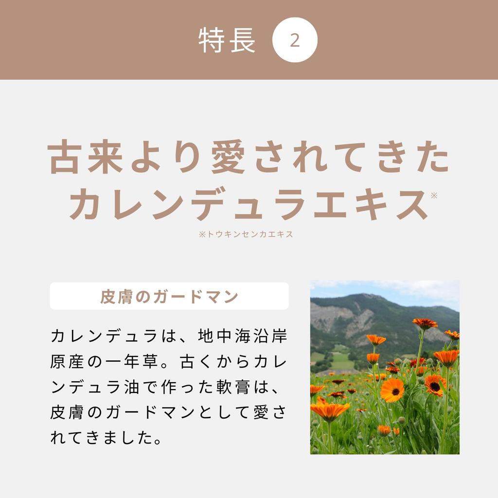 Baum des Lebens CALENDULA Nachtpflege Handcreme Intensive Feuchtigkeitspflege Plus Ein Mineral Synthetisch Für und Empfindlich Feuchtigkeitsspendend Kräuterduft - 40g,