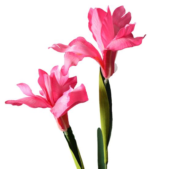 Artificial Iris Flower 2 Heads Faux Silk Flower Bouquet Long Stem Fake Iris Flowers for Floral Arrangements Table Centerpiece Party Wedding Decor