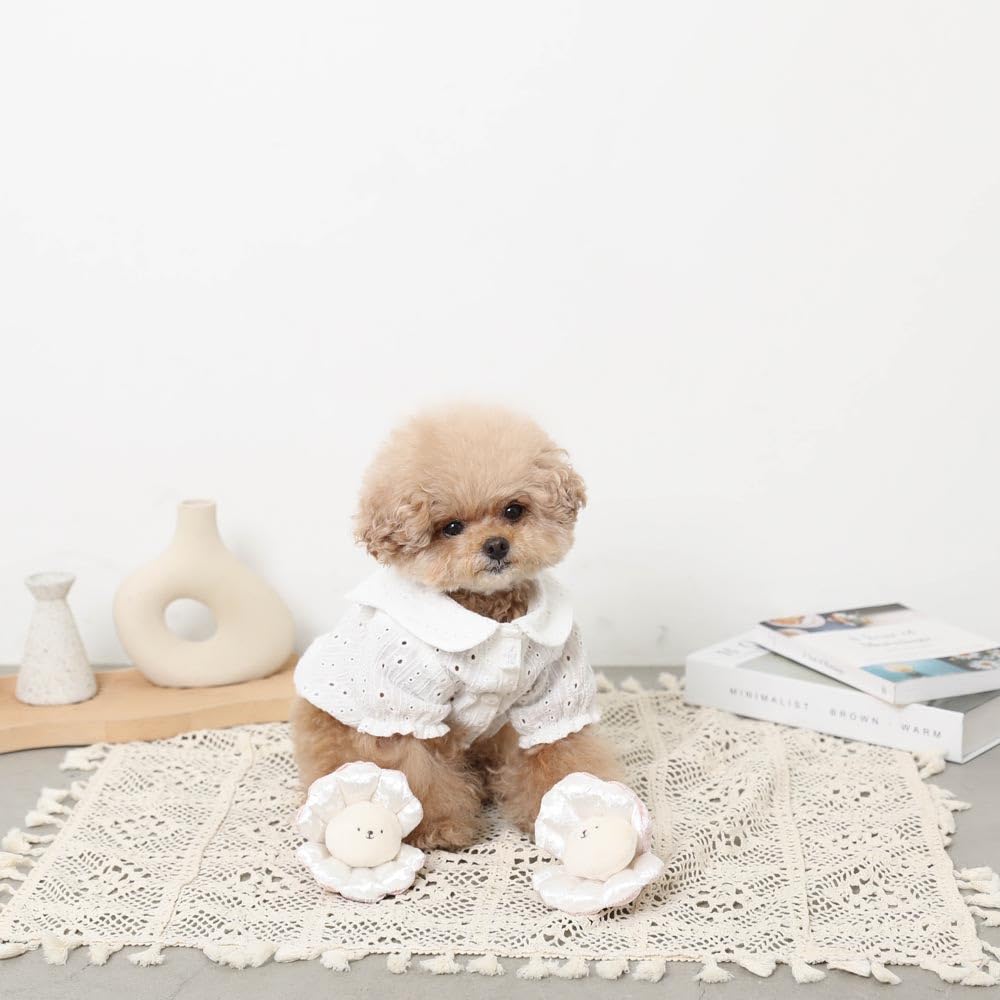 Nasenarbeitshunde Kleine Hunde Mittelgroße Hunde Niedlich Stilvoll Beliebte Marke Toypudel Chihuahua monchéri [Muschel Spielzeug] (KOSTENLOS/Rosa)