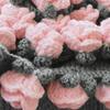 Bouquets Blanket Crochet Kit Starter for Birthday Present Wedding