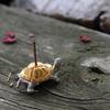 2/1pcs Mini Metal Turtle Shape Incense Stick Meditation Buddha Sandalwood Stick Holder Funny Animal Incense Holders Home Decor