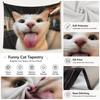 Quirky White Cat Tapestry Silly Face Meme Wall Hanging Flat Print Aesthetic Room Decor for Teen Bedroom Dorm Living Room