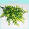 Robusta Smith Eucalyptus Foliage For Wedding Decor Setting Photography