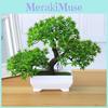 Artificial The Pine Greeting Guests Potted Plant Indoor Use For Desktop Decor