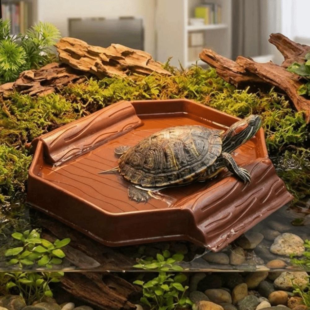 Anti-Slip Turtle Bath Basin Plastic Turtle Bath Tub Food Bowl Tortoise Water Dish Terrarium Setup
