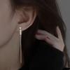 Pearl Ear Cable High-end Light Luxury Ear Cable New Trendy Earrings Temperament Famous