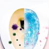 10Pcs Toilet Tank Cleaner Tablets Two-Color Automatic Toilet Bowl Cleaners Long-Lasting Deodorizers Scent Toilet Block