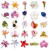 50-Piece Diamond Flower & Plant Graffiti Stickers: Waterproof Decorations for Journals, Water Bottles, Phones, and Computers.
