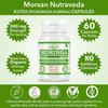 Morsan Nutraveda Moringa (Moringa Oleifera, Sahijan) | 60 x 500 mg Veg Kapseln | Erhöht das Energieniveau, Unterstützt die Immunstärke (2er-Pack)